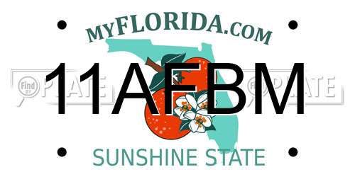 11AFBM Florida License Plate