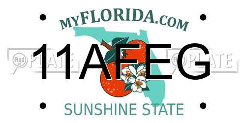 11AFEG Florida License Plate