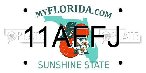 11AFFJ Florida License Plate