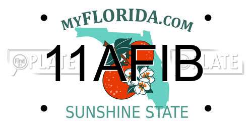 11AFIB Florida License Plate