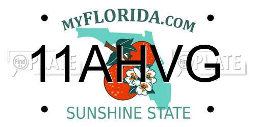 11AHVG Florida License Plate