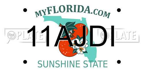 11AJDI Florida License Plate