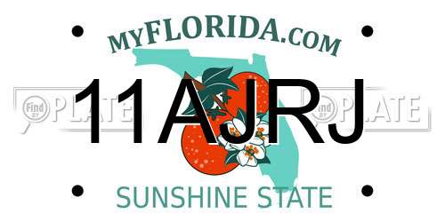 11AJRJ Florida License Plate