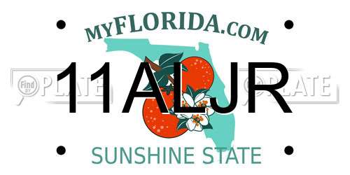 11ALJR Florida License Plate