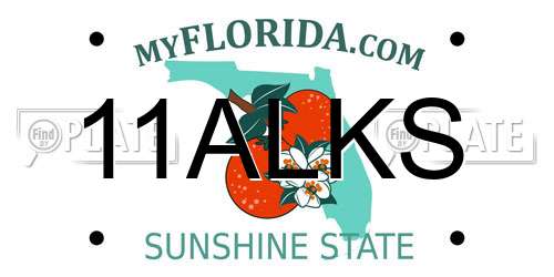 11ALKS Florida License Plate