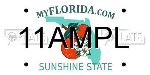 11AMPL Florida License Plate