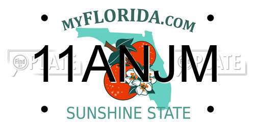 11ANJM Florida License Plate
