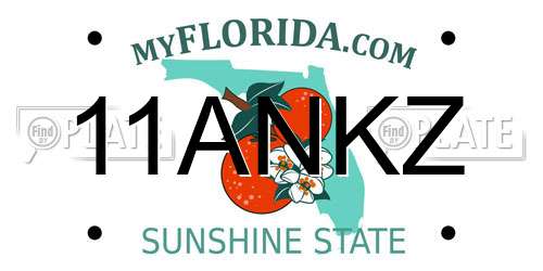 11ANKZ Florida License Plate