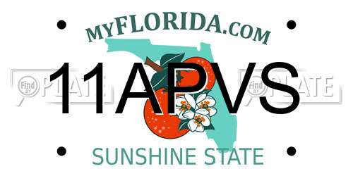 11APVS Florida License Plate