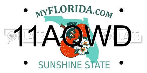 11AQWD Florida License Plate