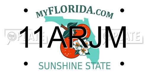 11ARJM Florida License Plate