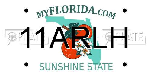 11ARLH Florida License Plate