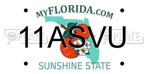 11ASVU Florida License Plate