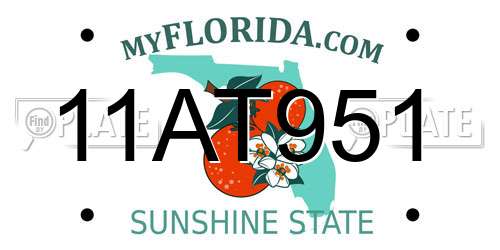 11AT951 Florida License Plate