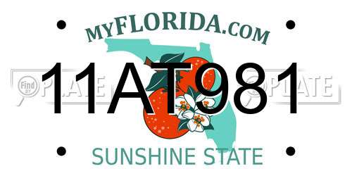 11AT981 Florida License Plate
