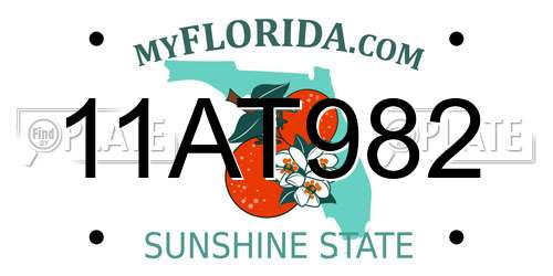 11AT982 Florida License Plate