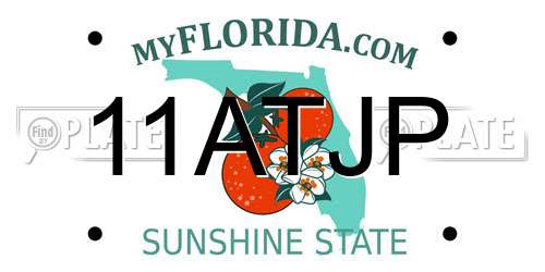 11ATJP Florida License Plate