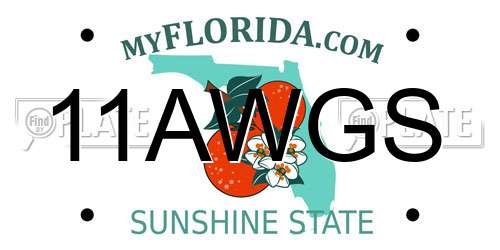 11AWGS Florida License Plate