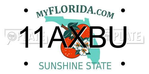 11AXBU Florida License Plate
