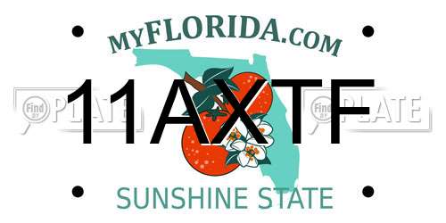 11AXTF Florida License Plate