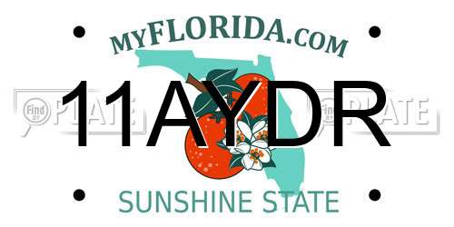 11AYDR Florida License Plate