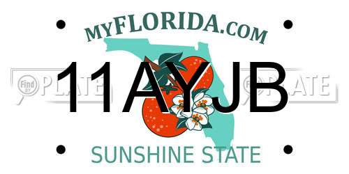 11AYJB Florida License Plate