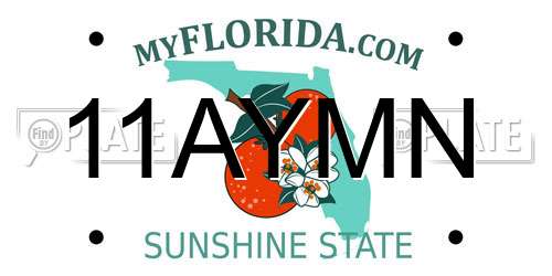 11AYMN Florida License Plate