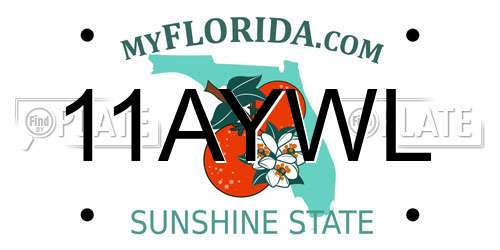 11AYWL Florida License Plate