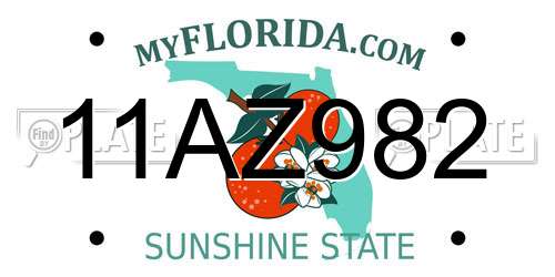 11AZ982 Florida License Plate