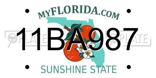 11BA987 Florida License Plate