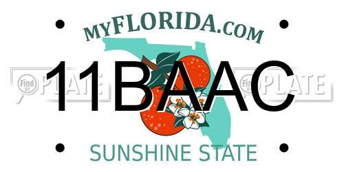 11BAAC Florida License Plate