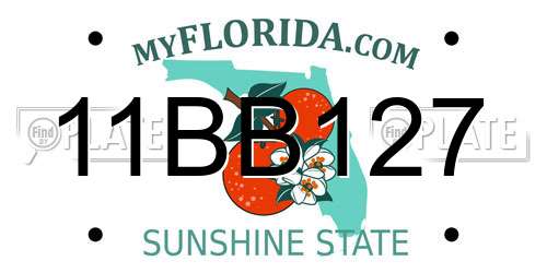 11BB127 Florida License Plate