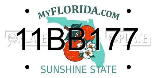 11BB177 Florida License Plate