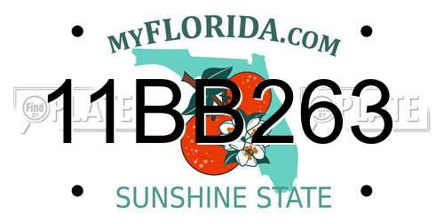 11BB263 Florida License Plate
