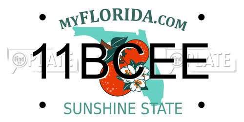 11BCEE Florida License Plate
