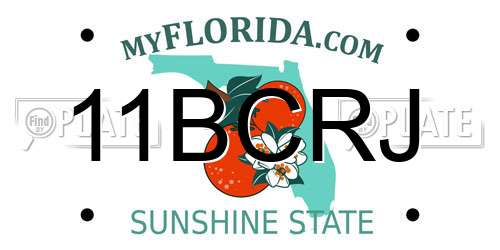 11BCRJ Florida License Plate