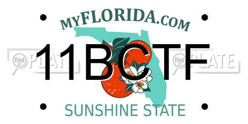 11BCTF Florida License Plate