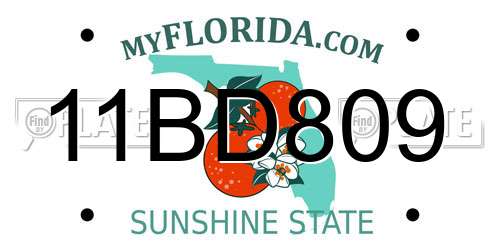 11BD809 Florida License Plate