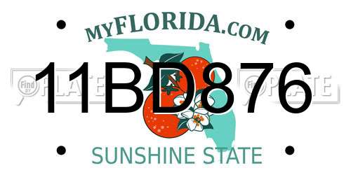 11BD876 Florida License Plate