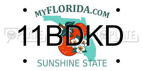 11BDKD Florida License Plate