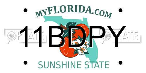 11BDPY Florida License Plate