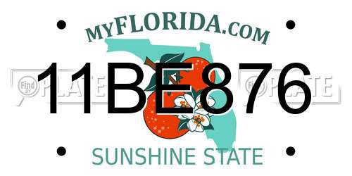 11BE876 Florida License Plate