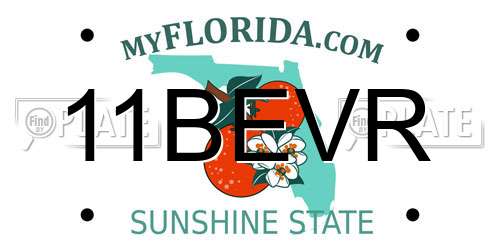 11BEVR Florida License Plate