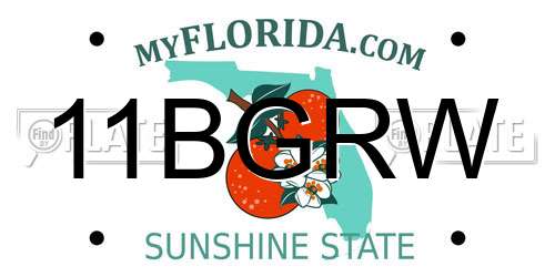 11BGRW Florida License Plate