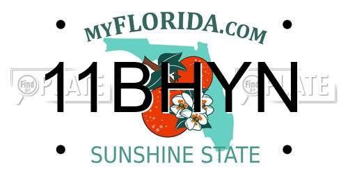 11BHYN Florida License Plate