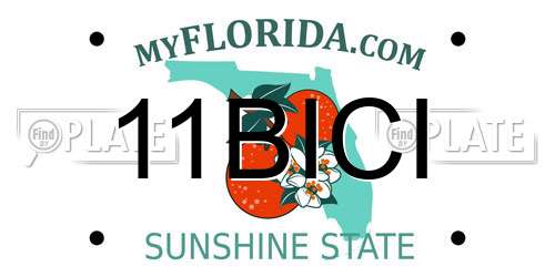 11BICI Florida License Plate
