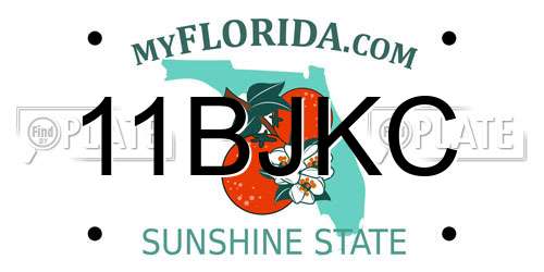 11BJKC Florida License Plate