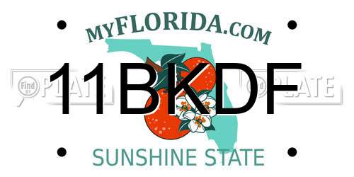 11BKDF Florida License Plate