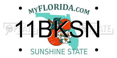 11BKSN Florida License Plate