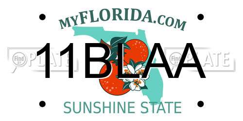 11BLAA Florida License Plate